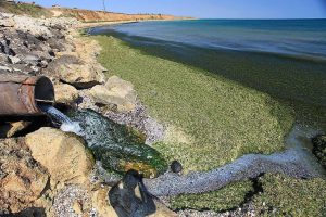 آلودگی آب در سطح زمین در نهایت به دریا و اقیانوس‌ها ختم می‌شود